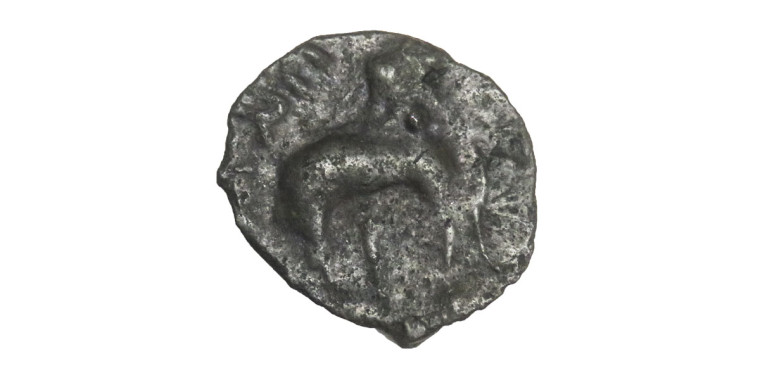 Sri Satakarni Elephant Potin Coin # 8